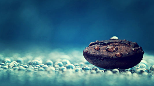 Enhance Your Blog Posts with Curated Product Recommendations.